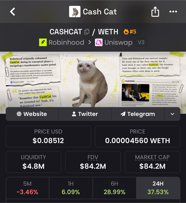 A mobile screenshot of a crypto token page for "Cash Cat" (CASHCAT/WETH) shows the meme cat narrative image priced at $0.08512 with a 37.53% gain in 24 hours and $4.8M liquidity, directly supporting the post's claim about $CASHCAT's 40% surge.