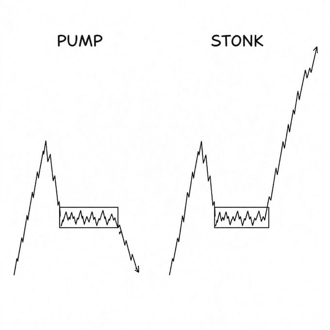 A financial meme diagram illustrates the difference between a 'PUMP' (price spike followed by sideways movement and a downtrend) and a 'STONK' (price spike followed by sideways movement and continued uptrend).
