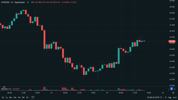 A financial chart displaying the HYPEUSD (Hyperliquid) price action on a 1-hour timeframe, showing a recent dip to around 63,000 followed by a recovery to 65,651 with a 48.664K volume.