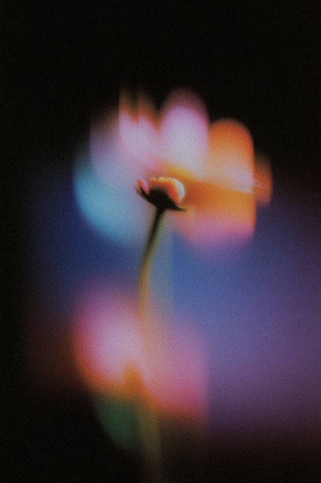 An artistic, blurry photograph of a single flower with glowing orange and pink hues set against a dark background.