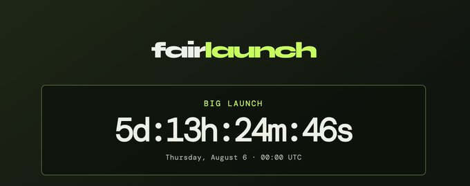 The image displays a countdown timer for "BIG LAUNCH" on the FairLaunch platform, showing 5 days, 13 hours, 24 minutes, and 46 seconds remaining until Thursday, August 6 at 00:00 UTC. This visual aligns with the post's skepticism, highlighting the platform's promotional countdown while the author questions the necessity of a whitelist and address collection—suggesting possible ulterior motives behind the launch.