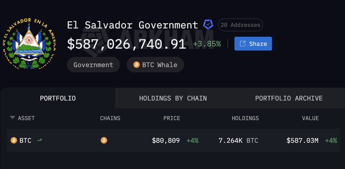 A crypto portfolio dashboard showing the El Salvador Government wallet holding $587,026,740.91 (+3.85%) across 20 addresses, labeled as 'BTC Whale' with 7,264K BTC at $80,809 per coin.