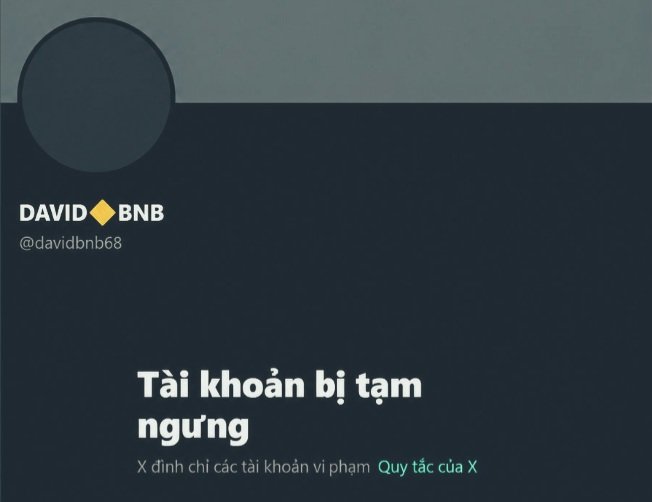 Dark-mode Twitter/X screenshot of 'DAVID 🔶 BNB' (@davidbnb68) showing a 'Tài khoản bị tạm ngưng' (Account temporarily suspended) message.