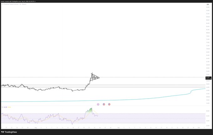 A TradingView chart displays LTC/USD (Litecoin) on Coinbase, showing a sideways consolidation pattern followed by a sharp breakout above resistance near $53 with a flag/pennant formation and an RSI indicator at the bottom. The "$LTC - we meet again" caption humorously references the chart's recurring price action around key technical levels, suggesting the poster is re-engaging with this familiar setup.