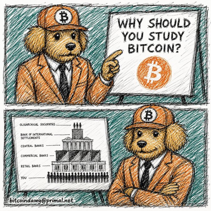 A two-panel cartoon featuring a dog character in a suit and Bitcoin cap, with the top panel asking "WHY SHOULD YOU STUDY BITCOIN?" and the bottom panel showing a hierarchical pyramid diagram of financial institutions ending with "YOU," signed "bitcoindawg@primal.net".