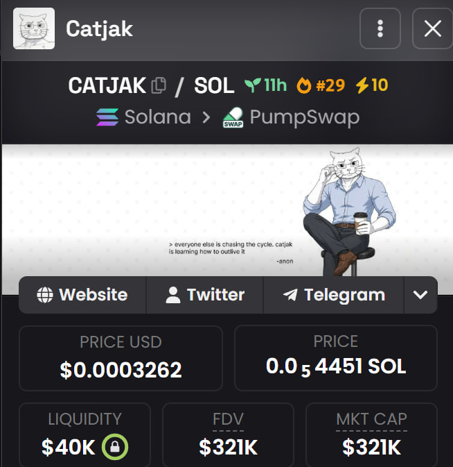 A crypto token dashboard displays "Catjak" (CATJAK/SOL) on Solana's PumpSwap at a $321K market cap with $40K liquidity, priced at $0.0003262. The image shows the project's stats backing the post's claim of buying near a $300K market cap, with the token's cat-themed branding reinforcing its positioning as an OG 4chan meme play similar to TROLL and WOJAK.