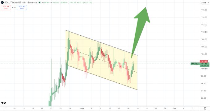 A TradingView 8-hour candlestick chart of SOL/USDT (TetherUS) on Binance shows the price consolidating within a descending parallel channel (bull flag pattern) around $101.67, with a large green arrow pointing upward toward the $116 resistance level, illustrating the anticipated bullish breakout from the flag formation.