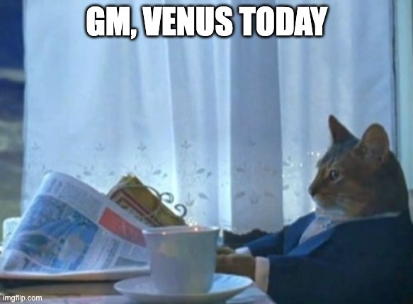 A cat in a suit sits at a table reading a newspaper with a cup of coffee, captioned "GM, VENUS TODAY," playing on the relaxed "Netflix and chill" meme to match the post's "gm, venus and chill" greeting.
