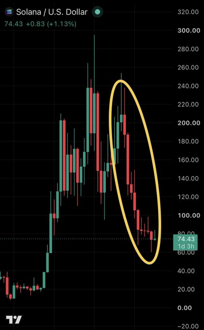 A candlestick chart of Solana (SOL) priced in U.S. Dollars shows the asset currently at $74.43, up 1.13% (+$0.83), with a yellow ellipse highlighting a roughly 10-month downtrend from highs near $260 down toward current levels. The circled pattern of persistent red candles visually emphasizes the extended selling pressure referenced in the caption.