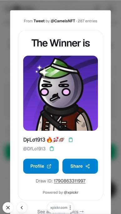 A Pickr tweet giveaway result popup announcing 'The Winner is DfLo1913' (@DfLo1913) with an NFT image, from a Tweet by @CamelsNFT with 287 entries, powered by @xpickr (Draw ID: 1790863311997).