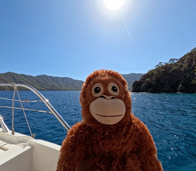 A plush orangutan toy is photographed in front of a scenic ocean and mountain backdrop from a boat.