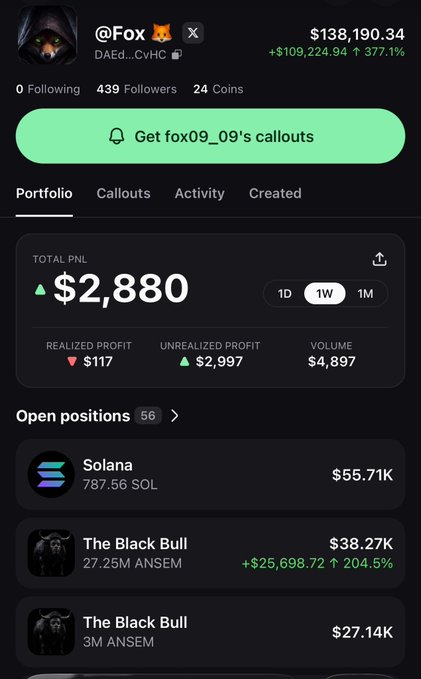 A crypto portfolio dashboard for user "@Fox" shows a total PNL of $2,880 over 1 week, with holdings including 787.56 SOL ($55.71K), 27.25M ANSEM ($38.27K, +204.5%), and 3M ANSEM ($27.14K), while the accompanying post warns about @blknoiz06 allegedly dumping $ANSEM supply to this wallet address and promoting the token.
