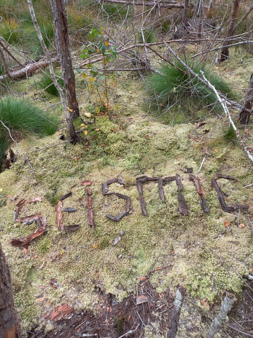 The word 'EXISTENCE' is spelled out using small twigs and bark arranged on a bed of green moss in a forest setting, surrounded by small trees and grass.