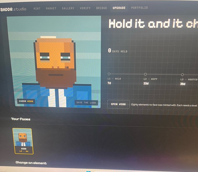 A computer screen displays a website called "ZADDR.studio" featuring a pixel art character named "ZADDR #288" with details about holding and rooting levels.