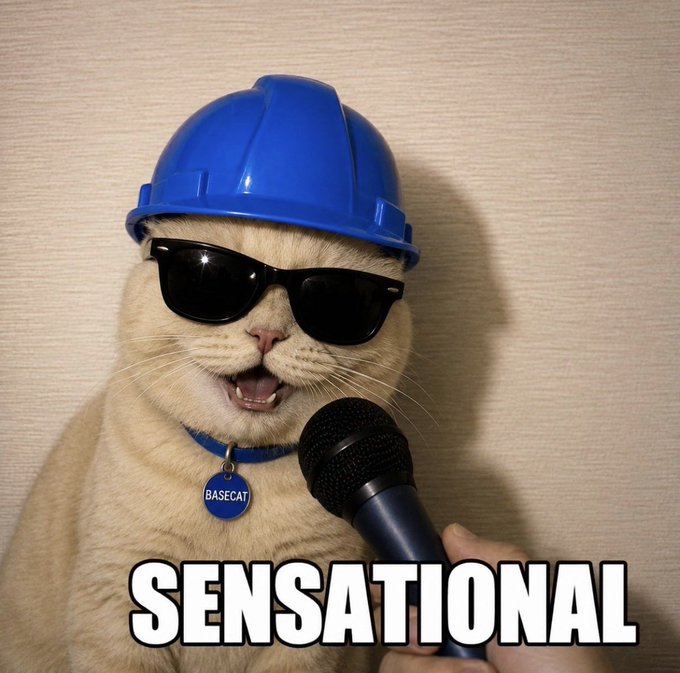 A meme image of a smiling orange cat wearing a blue hard hat and sunglasses, being interviewed with a microphone, with the text 'SENSATIONAL' and a tag reading 'BASECAT'.