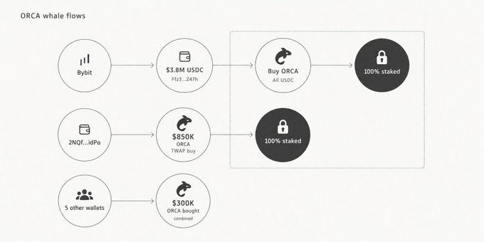 An infographic titled 'ORCA whale flows' showing transactions: Bybit sent $3.8M USDC to buy ORCA which became 100% staked, and 5 other wallets combined bought $300K ORCA, with the central section marked 100% staked.