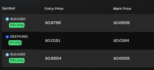 A trading interface displays leveraged long positions: SUI/USD at 5.6x (entry $0.6796, mark $0.6928), DEEP/USD at 5x (entry $0.0151, mark $0.0164), and another SUI/USD position at 9.9x (entry $0.6654, mark $0.6928).