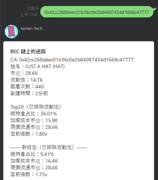A WeChat screenshot in Chinese showing cryptocurrency wallet information on BSC for token JUST A HAT (HAT) with contract address 0x42cc268deec01b3bc0e2b84087454d1668c47777, displaying Top20 and new wallet statistics with 28.6K holding positions.