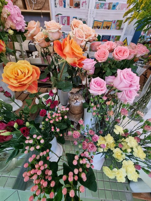 Floral display with pink, orange, and yellow roses and other flowers arranged in vases, with a brown tabby cat sitting in the center among the blooms.