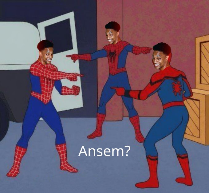 A Spider-Man pointing meme featuring three versions of a man in Spider-Man costumes all pointing at each other in confusion, with the text 'Ansem?' below.