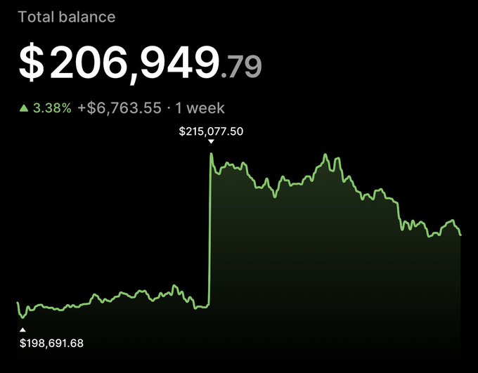 A financial dashboard displays a total balance of $206,949.79 with a 3.38% increase of +$6,763.55 over 1 week, featuring a green line graph showing fluctuations between $198,691.68 and a peak of $215,077.50.