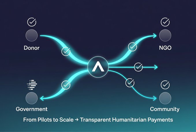 An infographic illustrating transparent humanitarian payments, with arrows flowing from a central node to 'Donor', 'NGO', 'Government', and 'Community', captioned 'From Pilots to Scale'.