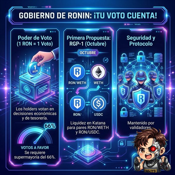 An infographic titled 'GOBIERNO DE RONIN: ¡TU VOTO CUENTA!' outlines voting power, the first proposal (RGP-1) for liquidity on RON/WETH and RON/USDC pairs, and security protocols, with a 66% supermajority required.