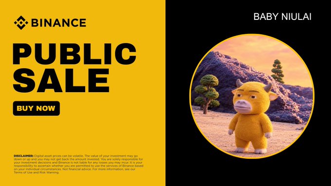 A promotional graphic for a Binance 'PUBLIC SALE' with a 'BUY NOW' button, featuring a 3D animated yellow bull character labeled 'BABY NIULAI' in a circular frame, alongside a disclaimer about digital asset risks.