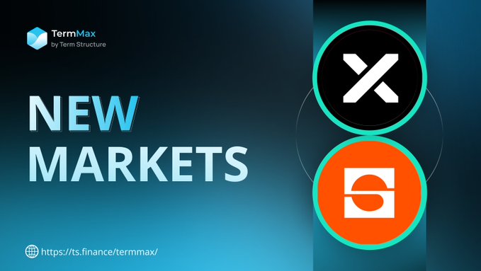 A promotional graphic for TermMax, announcing 'NEW MARKETS' with logos for MYX and a stylized 'e' token, displayed on a gradient blue background with the URL https://ts.finance/termmax/.