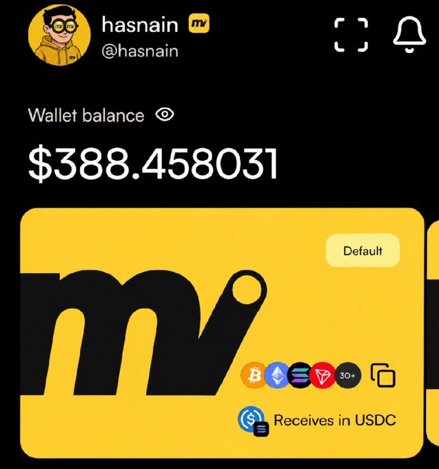 A screenshot of a digital wallet belonging to user 'hasnain' (@hasnain) showing a wallet balance of $388.458031 USD.