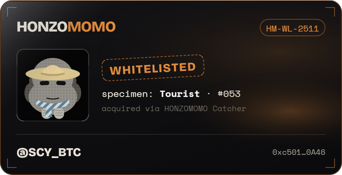 The image displays a digital collectible card from HONZOMOMO, featuring a gray knitted character wearing a straw sunhat and striped scarf, labeled as "Tourist #053" with a "WHITELISTED" badge and the reference code HM-WL-2511. The card ties to the post by celebrating the user's successful catch of Tourist #053 via the HONZOMOMO Catcher, granting them whitelist access to the project.