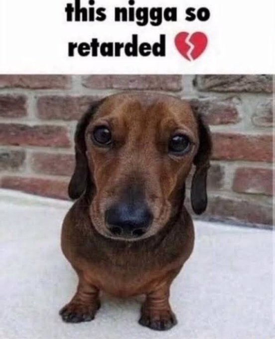 A dachshund is shown with the text "this nigga so retarded" and a broken heart. This image relates to the accompanying post by humorously depicting someone as foolish or unintelligent, mirroring the sentiment of the post.
