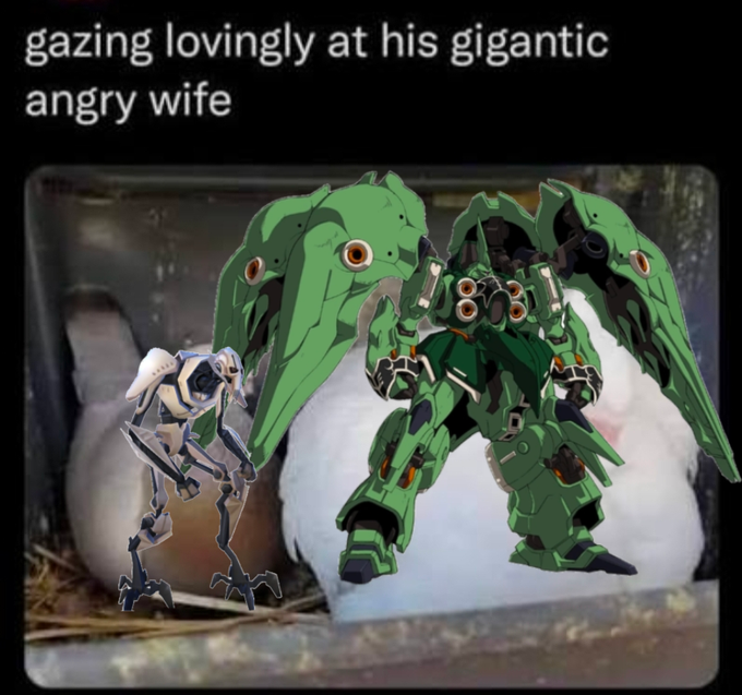 A meme showing a tiny robot bird gazing up at a massive green mech, captioned 'gazing lovingly at his gigantic angry wife'.