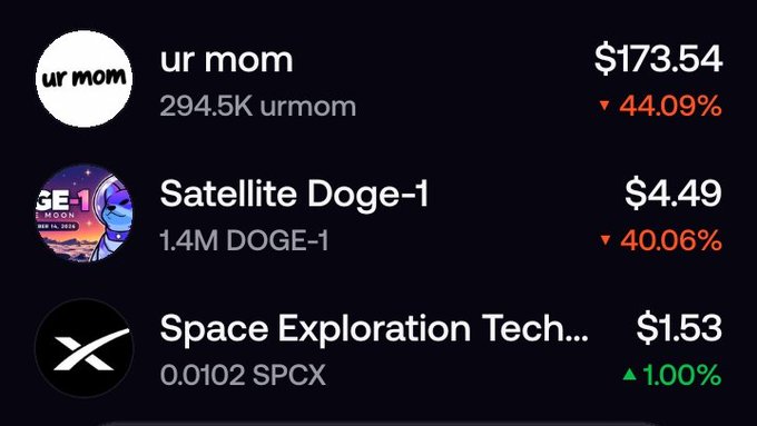 A cryptocurrency portfolio interface displays meme coin holdings, including 'ur mom' at $173.54 (down 44.09%), 'Satellite Doge-1' at $4.49 (down 40.06%), and 'Space Exploration Tech...' at $1.53 (up 1.00%).