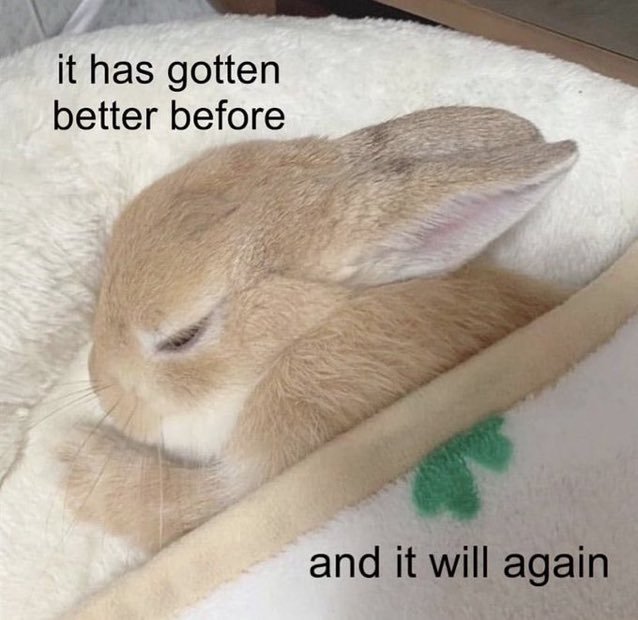 A sleeping brown rabbit wrapped in a fluffy white blanket, overlaid with the text 'it has gotten better before' and 'and it will again.'