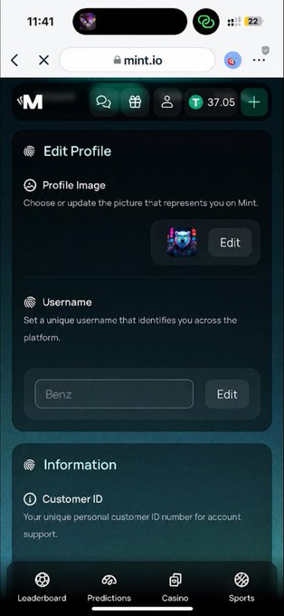 A mobile screenshot of an 'Edit Profile' page on the website mint.io, showing the username 'Benz' and a profile image section.