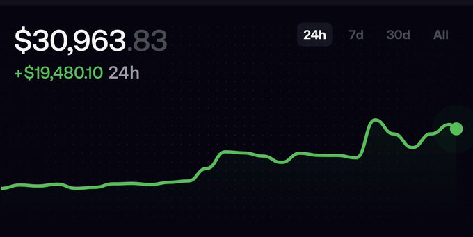 A crypto or investment portfolio dashboard displays a current value of $30,963.83 with a 24-hour gain of +$19,480.10, shown by an upward-trending green line chart on the "24h" view. The image visually reinforces the post's claim of rapid growth from $5K to $30K in just three days, illustrating the steep upward momentum referenced by the "slowly grinding up" narrative.
