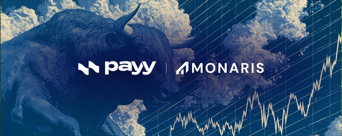A promotional banner featuring 'payy | MONARIS' text overlaid on a blue-toned image of a bull and stock chart with clouds in the background.
