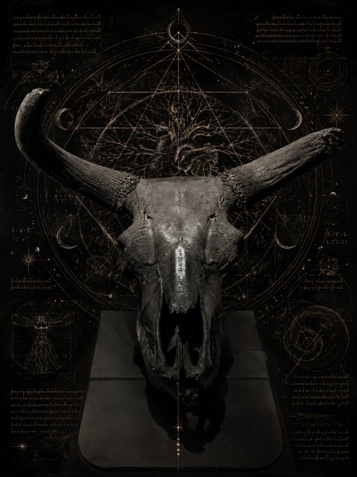A dark, atmospheric image of a weathered bull skull with large horns mounted against a black background covered in esoteric geometric symbols, lunar phases, a tree, and Roman numerals (S.V-L, LXVIII), resembling occult artwork.