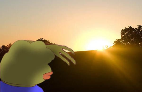 An animated image of Kermit the Frog viewed from behind, looking toward a bright sunset on the horizon over a landscape.