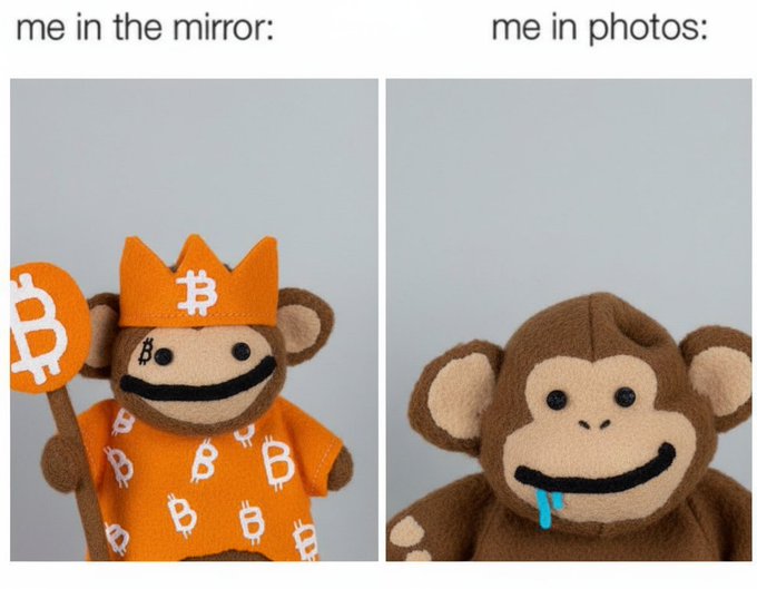 A meme comparing two photos of a plush toy: 'me in the mirror' shows the monkey plush dressed in orange Bitcoin-themed clothing and a crown, while 'me in photos' shows the plain plush with drool.