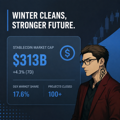 A promotional graphic with the headline 'WINTER CLEANS, STRONGER FUTURE.' displaying a Stablecoin Market Cap of $313B (+4.3% 7D), DEX Market Share of 17.6%, and 100+ Projects Closed, featuring an illustrated man in a red suit.