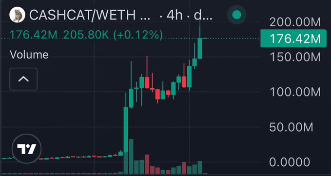 TradingView chart for CASHCAT/WETH showing a 4-hour volume of 176.42M (up 0.12%) with a candlestick price chart displaying a significant upward spike.