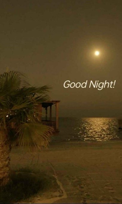 A nighttime scene over the ocean featuring the moon and a gazebo by the water, with palm trees in the foreground and 'Good Night!' text.