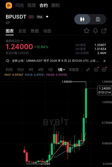 A screenshot of a trading app showing a Bybit chart for BPUSDT, displaying a recent price surge to 1.24000 with a +12.84% increase.