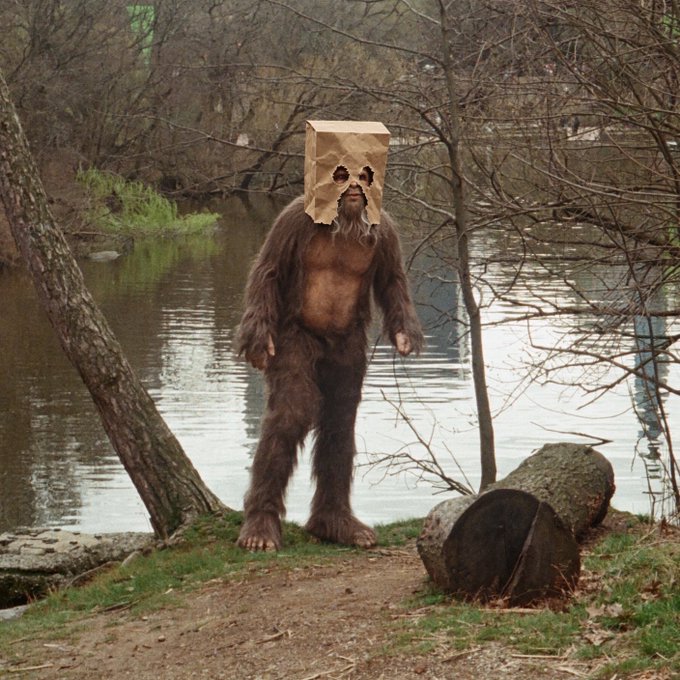 A Bigfoot or Sasquatch figure wearing a brown fur suit and a brown paper bag over its head, standing by a lake next to a fallen log.