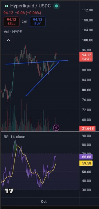 A TradingView chart displays the HYPE/USDC trading pair on Hyperliquid at 94.12, showing a 0.01% change with an ascending triangle pattern forming, while the RSI 14 indicator below reads 66.68.