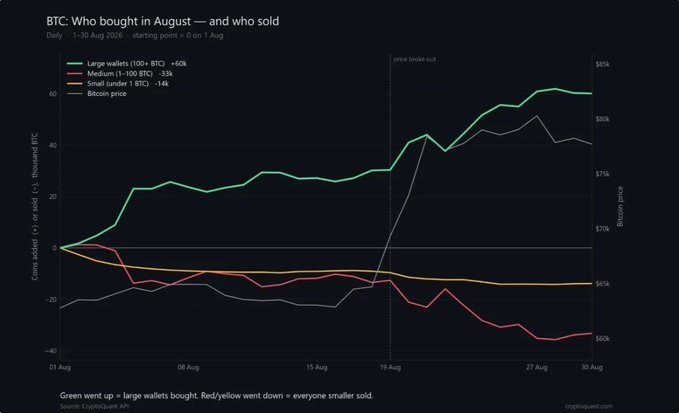 A CryptoQuant chart titled 'BTC: Who bought in August — and who sold' (1-30 Aug 2026) showing green line (Large wallets 100+ BTC +60k) trending up after a price break out, while red (Medium 1-100 BTC -35k) and yellow (Small under 1 BTC -14k) wallets sold.