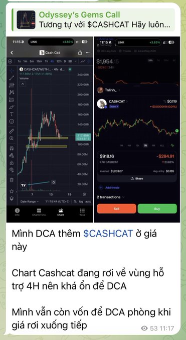 A Telegram post titled 'Odyssey's Gems Call' features crypto charts for $CASHCAT with Vietnamese text discussing DCA (Dollar-Cost Averaging) strategy.