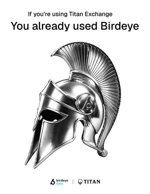 A promotional ad featuring a silver Spartan helmet with the text 'If you're using Titan Exchange You already used Birdeye' and logos for Birdeye Data and Titan at the bottom.